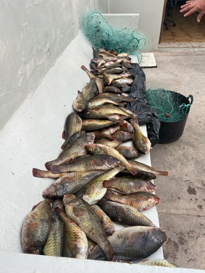 La Policía Local de Puerto del Rosario interviene en un caso de pesca ilegal