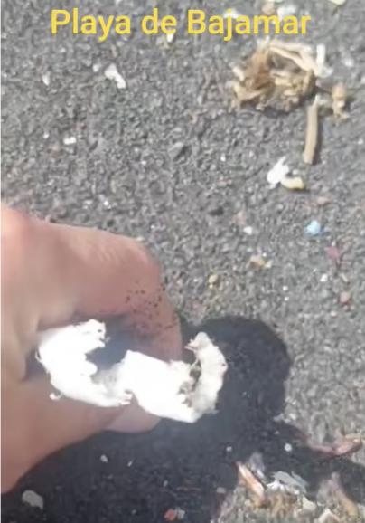La contaminación por plásticos continúa en las costas de La Palma