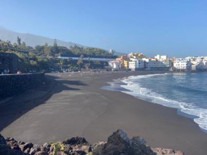 PSOE reclama transparencia y soluciones para Playa Jardín