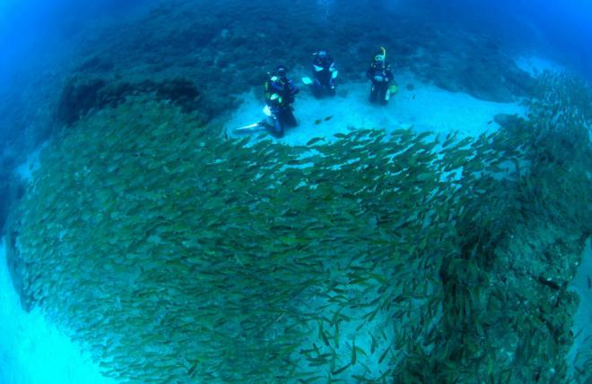 Actuaciones de protección y restauración en Punta de la Sal