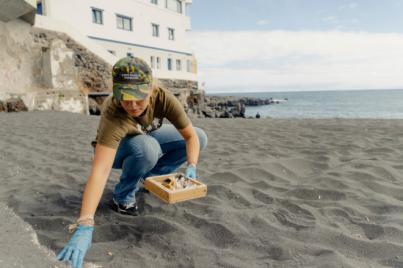 Playas canarias cerradas por E. coli y desprendimientos