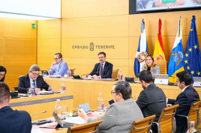 El Cabildo exige la retirada del decreto sobre el Registro de Viajeros