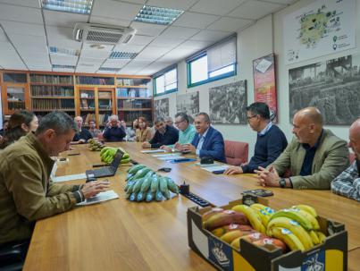El Cabildo rinde homenaje al sector platanero de Tenerife