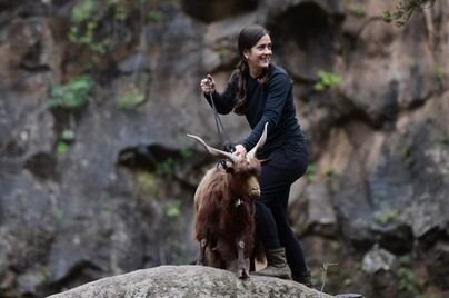 Brenda Rodríguez, propuesta para el Premio Insular 2026 por su labor en ganadería sostenible