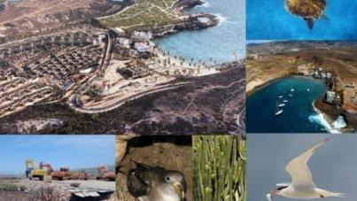 Más de 150 acreditados profesionales piden la paralización definitiva de las obras de Cuna del alma