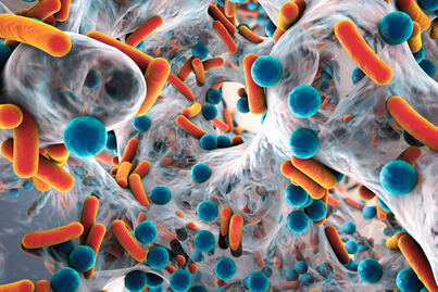Las resistencias bacterianas podrían superar al cáncer como causa de muerte en 2050