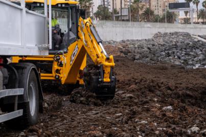 Rugolopterix okamurae amenaza la biodiversidad marina