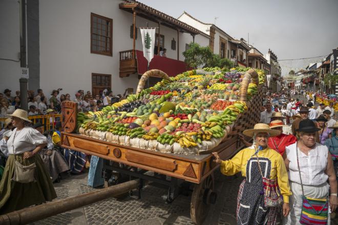 Multitudinaria Romería Ofrenda a la Virgen del Pino