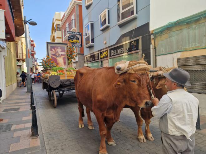 Telde ofrenda con más de una tonelada de alimentos a San Juan Bautista