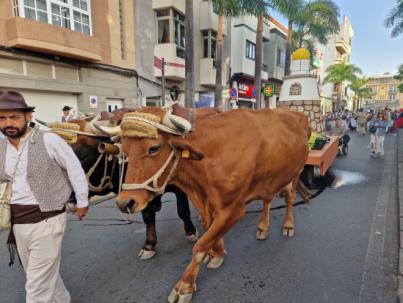 Telde se engalana para vivir la Romería-Ofrenda en honor a San Juan Bautista