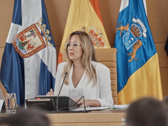 Rechazo a proyectos eólicos en el Barranco de Fasnia y Güímar