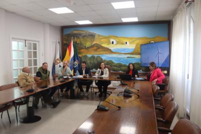 Arico presenta 93 alegaciones contra el proyecto eólico marino