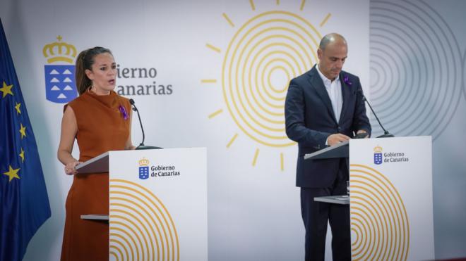 Al Consejo Consultivo el anteproyecto de Ley de Vivienda Vacacional