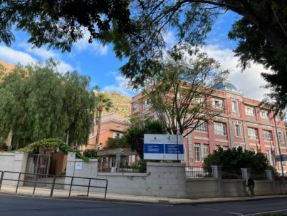 El Sistema de Vigilancia Entomológica de Canarias detecta dos larvas del mosquito Aedes Aegypti en La Palma