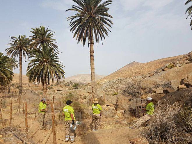 El Cabildo mejora los senderos que conducen a la Vega de Río Palma