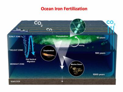 Apuestan por fertilizar el océano con hierro para eliminar dióxido de carbono de la atmósfera