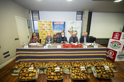 SPAR Gran Canaria comercializará 1.500 toneladas de papas de productores canarios durante el próximo año