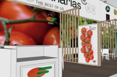 El tomate canario estará presente en Fruit Logistica 2026