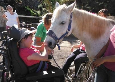 Canarias implementará el uso de caballos en las terapias a menores y personas con discapacidad