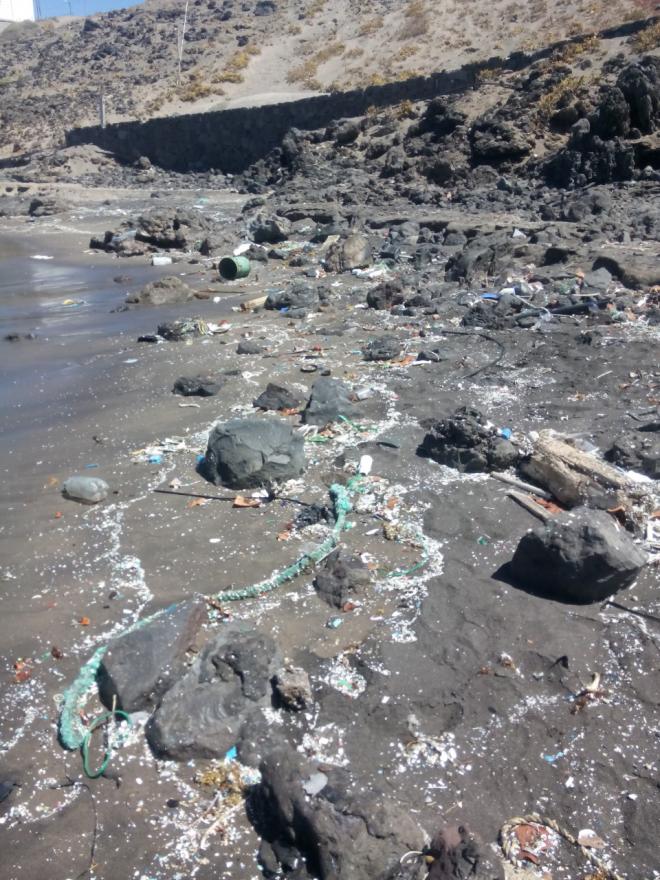 La ULPGC participa en un estudio científico que revela contaminación por plásticos en 8 playas de Tenerife