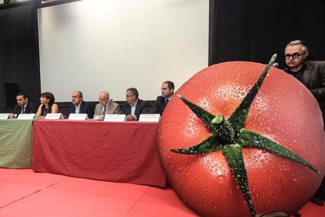 'El mar de plásticos abatidos demuestran las consecuencias de los monocultivos'