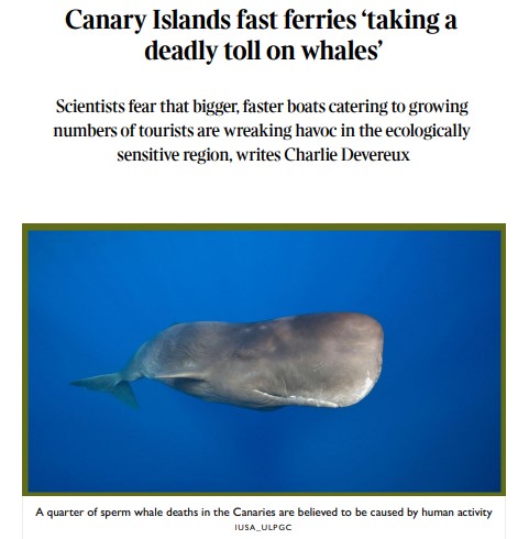 The Times recoge en un artículo el trabajo del IUSA-ULPGC en las colisiones de fast ferries con ballenas