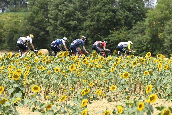 Laporte culmina al esprint la exhibición del Jumbo-Visma en el Tour