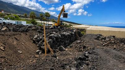 ASEPALMA espera decisiones concretas para agricultores afectados