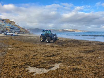 Ciudad de Mar mantiene la retirada de seba de Las Canteras
