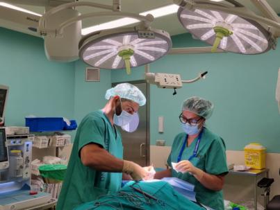 Los pacientes del SCS puntúan con un notable alto la atención recibida