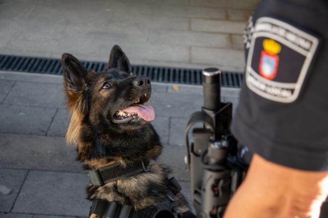 Unidad canina de Granadilla levanta más de 50 actas