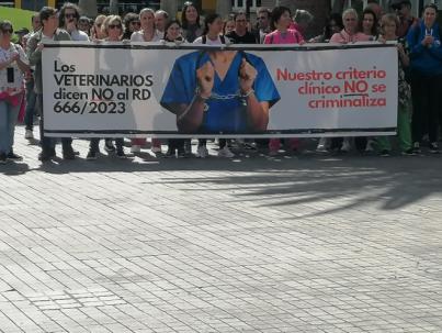 Los veterinarios entregan 20.500 firmas que rechazan el Decreto que los limita en su labor