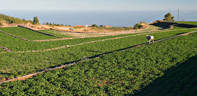 Los robos en el campo caen un 25,9% en 2014