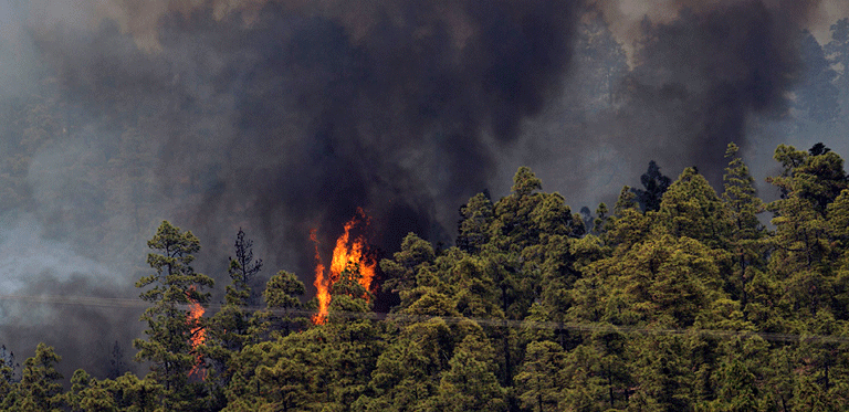 El verano finalizó con la menor superficie quemada desde 1970