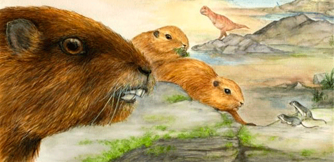 Una especie de marmota nos acerca al Cretácico