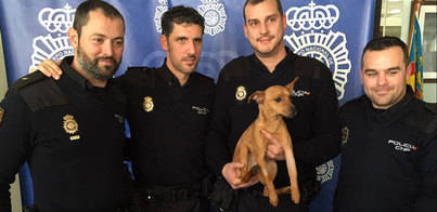 Un policía salva a un cachorro de su maltratador