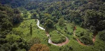Descubierta una ciudad perdida en la selva