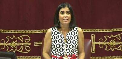 Darias apoya que los cabildos cedan espacio a los diputados autonómicos