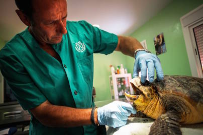 Campaña de voluntariado en el Centro de Recuperación de Fauna