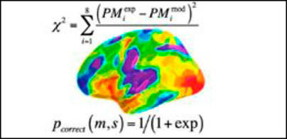 Modelos matemáticos para conocer la memoria humana