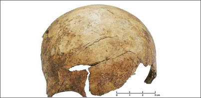 Halladas evidencias de una masacre prehistórica en Europa