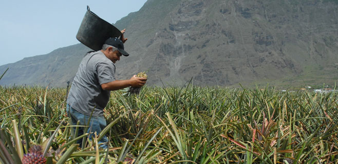 GMR y El Hierro promocionan conjuntamente los productos de la isla