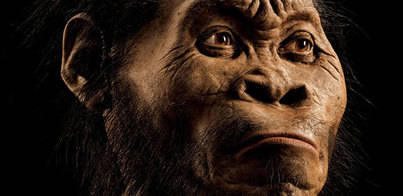 Hallado en Sudáfrica una nueva especie de homínido
