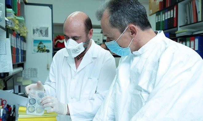 Investigadores del CSIC ensayarán con animales la candidata a vacuna la próxima semana