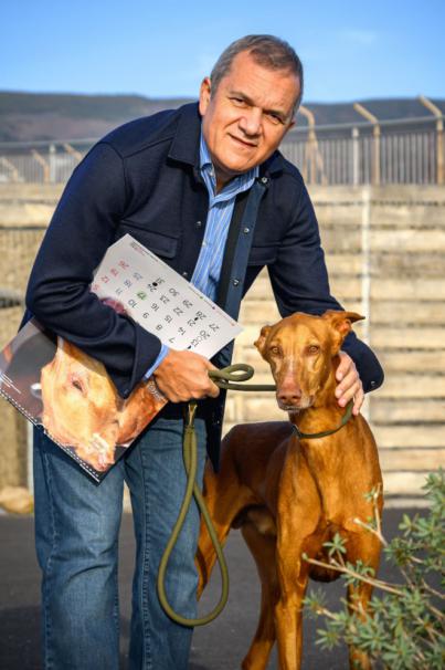 I Feria Insular de Bienestar Animal