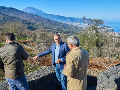 El Cabildo impulsa un proyecto de cultivo sostenible de la pitaya
