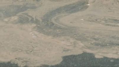 Telde denuncia opacidad del Gobierno de Canarias en plena crisis de vertidos