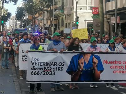 Los veterinarios exigen respeto a sus competencias