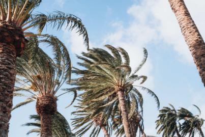 Declaran la alerta por viento en la isla de La Gomera