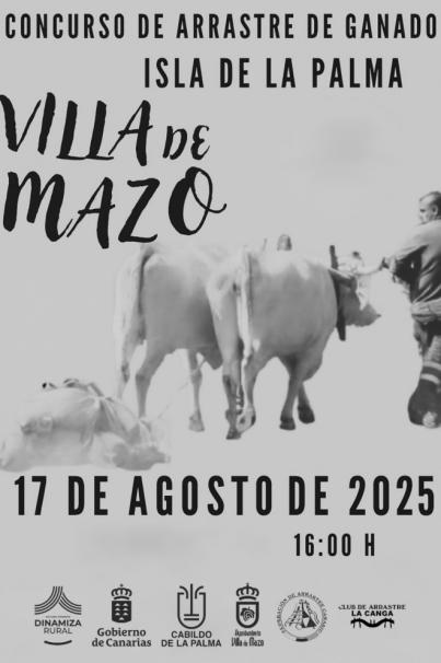 Villa de Mazo acoge un concurso de arrastre de ganado